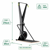 UNIQ Ergomètre de ski haute performance pour entraînement cardio en intérieur, idéal pour la maison et les centres de fitness professionnels