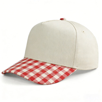 Gorra de Béisbol HBA54 Personalizada con Bordado, Rayas, Puntos, Flores, Estilo Vintage, Cierre a Presión, Dos Tonos, Algodón