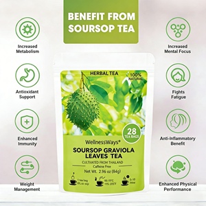 Soursop graviola <span class=keywords><strong>ชา</strong></span>ใบดอกไม้ผสมถุงธรรม<span class=keywords><strong>ชา</strong></span>ติอาหารเสริมเพิ่มการเผาผลาญอาหารสนับสนุนผู้ใหญ่ในสต็อก - Product Image 5