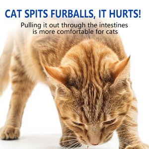 Pâte anti-poils pour chats avec complexe de vitamine B, huile de poisson et extrait brut d'astragale pour un soulagement doux des boules de poils et une meilleure santé intestinale - Product Image 5