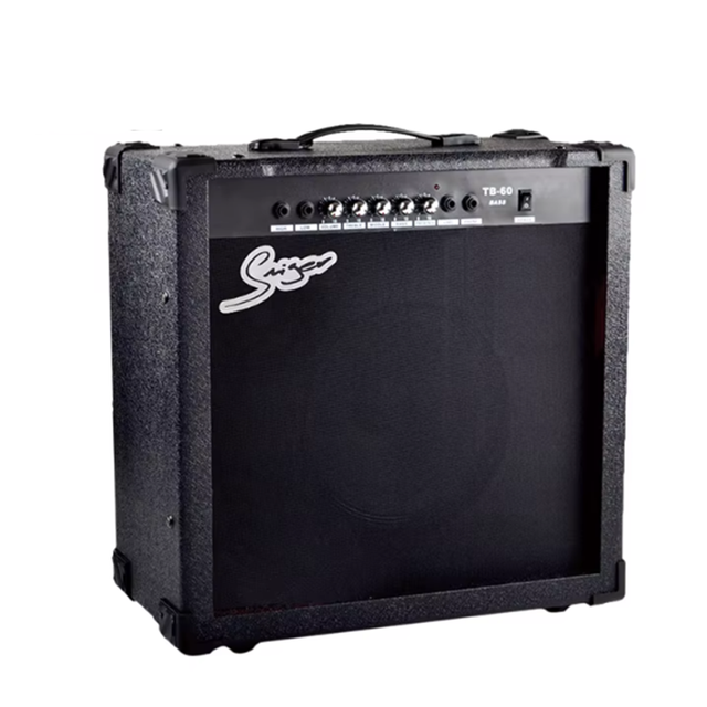 Professional Amplifier Manufacturer Wholesale Price 60 Watt Electric Bass Amp