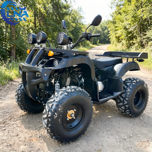Cuatrimoto ATV con certificación LNA CE, 250cc, <span class=keywords><strong>de</strong></span> alta resistencia, para <span class=keywords><strong>alquiler</strong></span> en la playa - Product Image 1