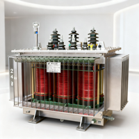 Transformador de Potencia Trifásico Sumergido en Aceite 6kV 10kV 25kV 125kVA 160kVA 200kVA 250kVA 300kVA 20kV Precio