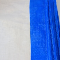 Bâche imperméable robuste transparente bleue et blanche en PE anti-âge isolante avec œillets