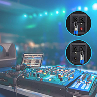 Câble Speakon vers Speakon 12 AWG 2 conducteurs NL4 pour sonorisation PA DJ