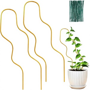 Poste de musgo curvo de metal dorado para Monstera y plantas trepadoras con 10 ataduras verdes - Product Image 1