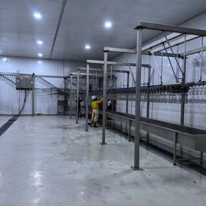 מכונת עיבוד שחיטה של עופות ODM OEM למפעל עיבוד עוף קפוא ומשחטה - Product Image 1
