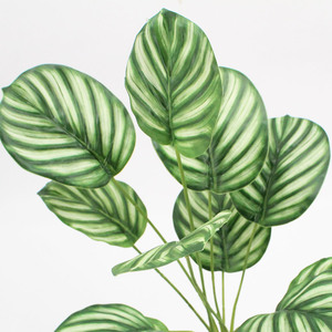 ใบต้นแอปเปิ้ลประดิษฐ์แบบมัดรวม ต้นไม้สีเขียวตกแต่งห้างสรรพสินค้า ใบต้นคาลาเทียสำหรับตกแต่งบ้าน ห้องตัวอย่าง จัดสวนจำลอง สมจริงสูง - Product Image 3