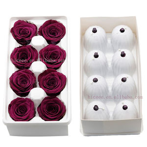 Teste di Rosa Essiccate Eterne 4-6cm Fiore Naturale per San Valentino Fai-da-Te Ecologico Lunga Durata 3-5 Anni Fiore Preservato - Product Image 6