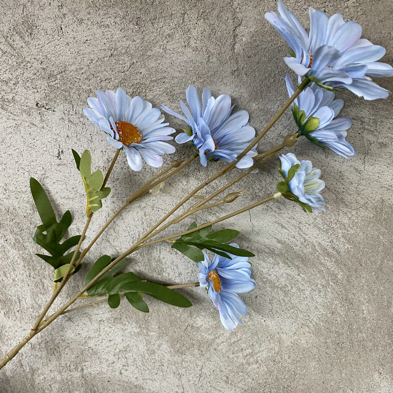 Blu-chiaro