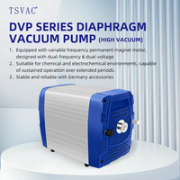 Équipement de laboratoire sans huile DVP10pro, pompe à vide d'aspiration d'air 6,7cfm 0,9mbar avec filtre anti-poussière