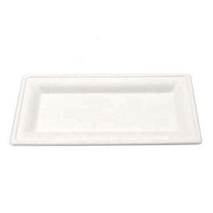 Biodegradable 10 pulgadas de bagazo de caña de placa cuadrada de color blanco precio de fábrica - Product Image 1