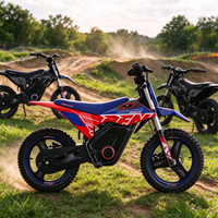 Mini moto électrique pour enfants SX-E500, 350W, batterie lithium 36V, moto tout-terrain avec amortisseurs hydrauliques avant et arrière