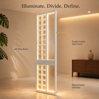 Cloison décorative de luxe en acier inoxydable avec briques de verre lumineuses à LED pour hôtel et salon