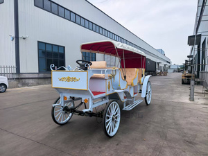 Charrette à chevaux électrique, calèche royale tirée par des chevaux, transport spécial, chariot <span class=keywords><strong>de</strong></span> <span class=keywords><strong>mariage</strong></span>, calèche à chevaux pour <span class=keywords><strong>location</strong></span> - Product Image 3