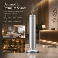 Diffuseur d'arômes sans eau de luxe pour hôtel, 100 ml, machine à parfum à air froid en métal, télécommande tactile pour hall, bureau, maison, SPA