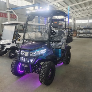 Voiturette de golf électrique tout-terrain surélevée 2 places couleur caméléon 2026 - Product Image 2