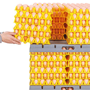 Sistema de Transporte de Huevos, Bandeja para Huevos, Sistema de Paletización para el Transporte de Huevos <span class=keywords><strong>Giordano</strong></span> - Product Image 6