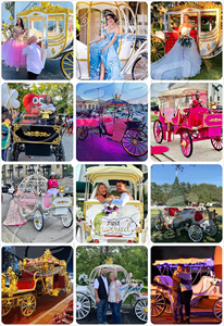 Customized Popular Green High-end Luxury Classic Royal Carriage European Sightseeing Electric Carriage for Sale - Product Image 6