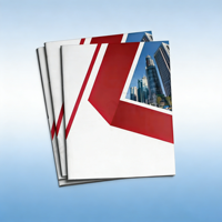 Service de Brochures Personnalisées en Gros – Brochures Publicitaires, Profil d'Entreprise, Catalogues pour le Marketing B2B