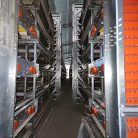 Système de cages en H automatiques pour l'élevage commercial de volailles, équipement de production d'œufs avec système d'alimentation