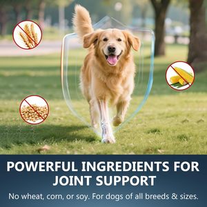 Golosinas Masticables Suaves de Marca Privada ODM/OEM con MSM, CONDROITINA y CÚRCUMA para el Soporte de las Articulaciones de las Mascotas - Product Image 6