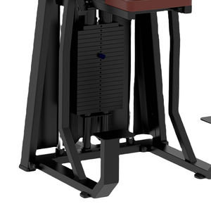 Vente directe d'usine, équipement de fitness pour salle de sport, machine d'entraînement commercial, machine d'assistance pour tractions/dips - Product Image 2