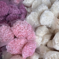 Bunga Hydrangea Asli Awet Bentuk Bulat 20*20CM Grosir Pabrik Bunga Kering Abadi untuk Dekorasi Pernikahan dan Rumah, Pengiriman Lintas Negara