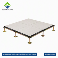 Plancher surélevé antistatique Woodcore 600x600mm, panneaux de plancher conducteurs ESD pour centre de données, salle de serveurs, salle blanche SENMAI