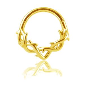 2025 Anillo de <span class=keywords><strong>Nariz</strong></span> Sexy para Septum, Clicker Articulado, Gancho para Cartílago, Acero Inoxidable 316L, Joyería para Piercing Corporal - Product Image 5