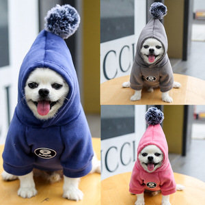 Vêtements d'hiver pour chiens : Petite carotte de qualité supérieure pour le marketing canin - Product Image 4