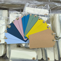 Étiquettes cadeaux en papier avec ficelle et œillet renforcé, étiquettes de prix inscriptibles, étiquettes d'expédition, étiquettes d'inventaire, vierges, grand format