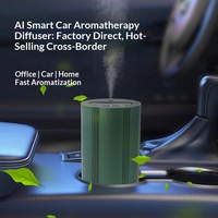 Diffuseur d'arômes de voiture en métal personnalisé Maison intelligente Portable Huile essentielle anhydre Type de brouillard USB Recharge automatique Diffuseur