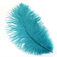 Plumes d'autruche Polobag crème 2 pièces pour fête carnaval maison mariage pièce maîtresse noël Vase vacances décor bricolage artisanat Floral