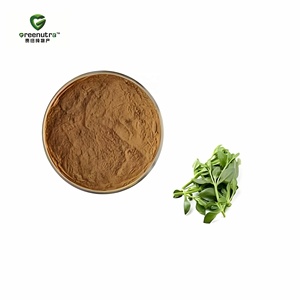 Extracto de Andrographis <span class=keywords><strong>Paniculata</strong></span> en Polvo, Andrografólidos, <span class=keywords><strong>Precio</strong></span> 5508-58-7, Andrografólido Orgánico - Product Image 3