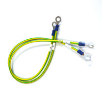 Cable de Tierra con Terminal de Anillo de 2.5mm², Amarillo-Verde, PE, 450V 750V, Cobre Flexible, Certificación CCC, Longitud Personalizada OEM
