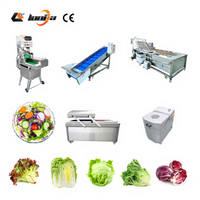 Groentesalademachine 50-500 kg/uur, salade snij- en dobbelmachine, salade wasmachine, semi-automatische salade productielijn
