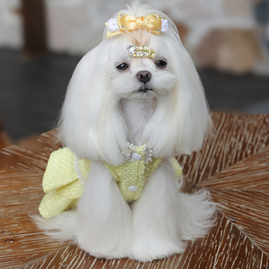 Abito da Principessa Giallo per Cani, Vestito Classico Comodo e Lussuoso per Cuccioli, Alta Qualità, Durevole, in Poliestere - Product Image 3