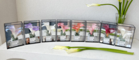 Bunga Calla Lily Grosir dengan Kotak Kaca, Bunga Kering Awet untuk Dekorasi Pernikahan, Bunga Calla Lily Artifisial, Bunga Artifisial