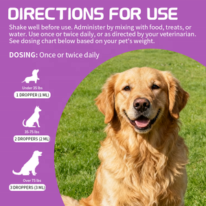 犬用酵母感染液猫用健康補助食品免疫サポートペット用酵母感染液滴 - Product Image 6