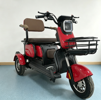 Tricycle électrique à 3 roues de haute qualité, vente directe d'usine chinoise, batterie au plomb-acide 48V500W, tricycle électrique pour adultes à 2 places