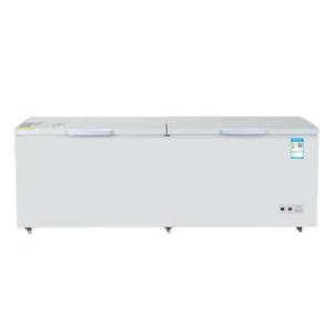 Congélateur Commercial Rapide à Double Porte Vitrée pour Poisson et Crème Glacée, Réfrigérateur et Congélateur pour la Maison - Offre Spéciale - Product Image 1