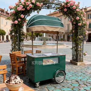 Chariot de glaces italiennes (gelato) avec congélateur pour la rue de Malaisie, modèle 2025 - Product Image 5