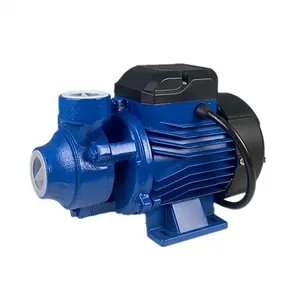 Peripheral Water Pump CHIMP Household Home 0.5hp Electric Surface Domestic Peripheral Vortex Water Pump