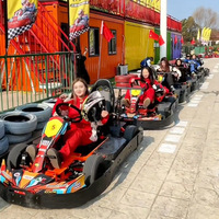 Kart électrique de course sur piste pour adultes, kart à quatre roues pour club, équipement de parc d'attractions, capacité de charge de 200 kg, 2000 W, 80 km/h