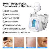 Appareil Hydro Facial, Hydrodermabrasion, Aqua Peel, Jet d'Oxygène, Soin Hydratant de la Peau, Équipement de Beauté, Nettoyage en Profondeur, Points Noirs, Lèvres