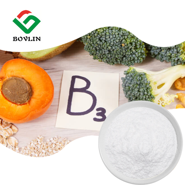 Food Grade Bulk Vitamin B3 Powder Price High Quality 99% Vitamin B3 Nutrition Supplements