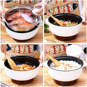 Mini-cocotte électrique en fonte 2,6 L, antiadhésive, pour hôtels et camping-cars, avec poignée, pour nouilles et plats variés - Product Image 6