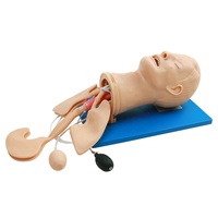 Mannequin de simulation de gestion des voies respiratoires sans fil multifonctionnel pour intubation trachéale, avec masque laryngé, aspiration et simulation vocale, taille humaine