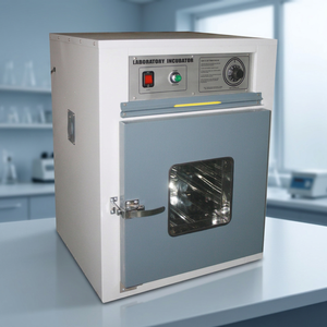 Incubadora Termostática para Pruebas Bacteriológicas con Pantalla Táctil y Resolución de Temperatura de 0.5°C - Acero Inoxidable - Product Image 3